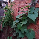 Casa Silvano\'S