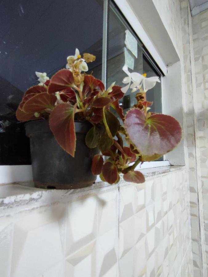 Casa Silvano's * Foz do Iguacu